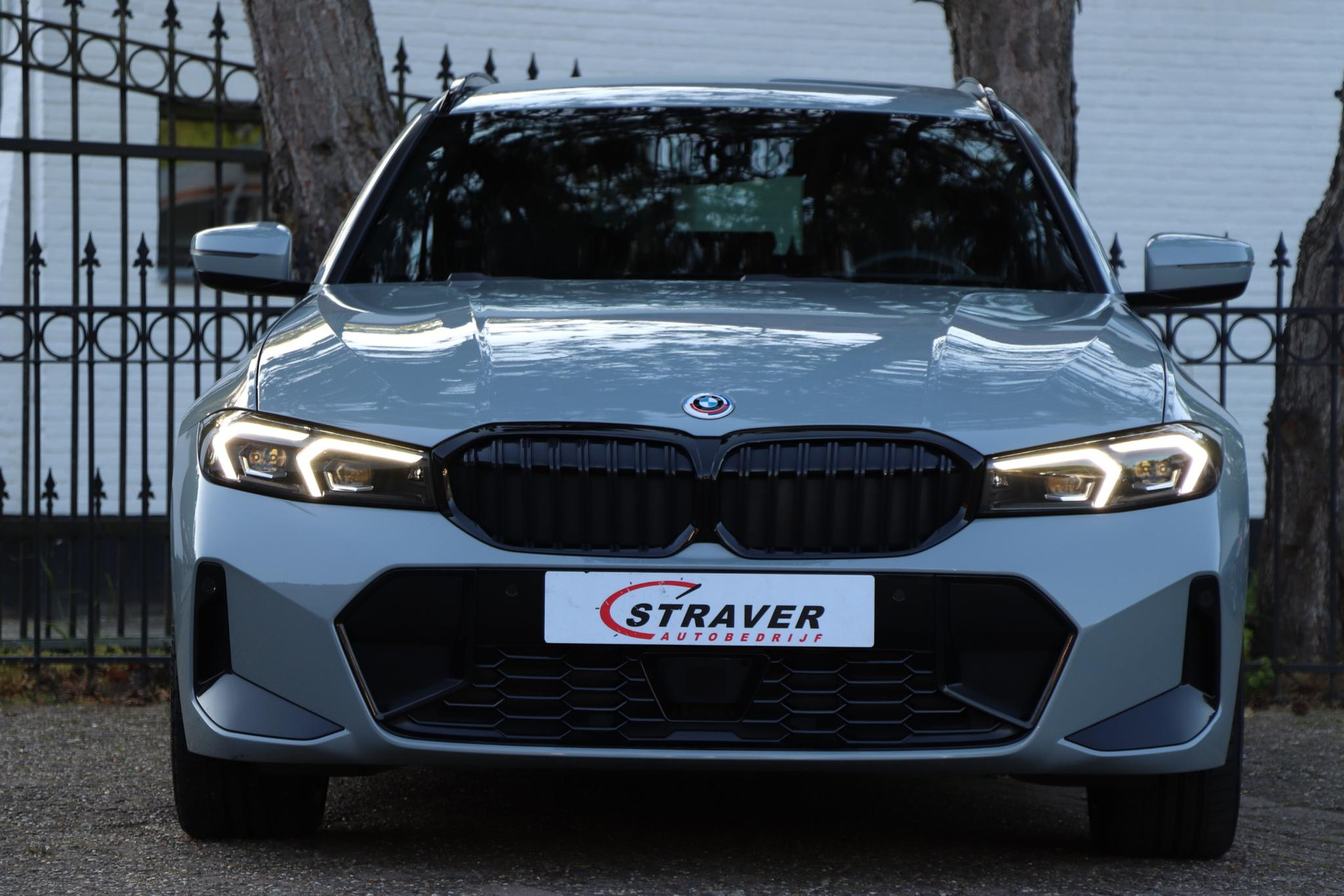 44393625-7.jpg