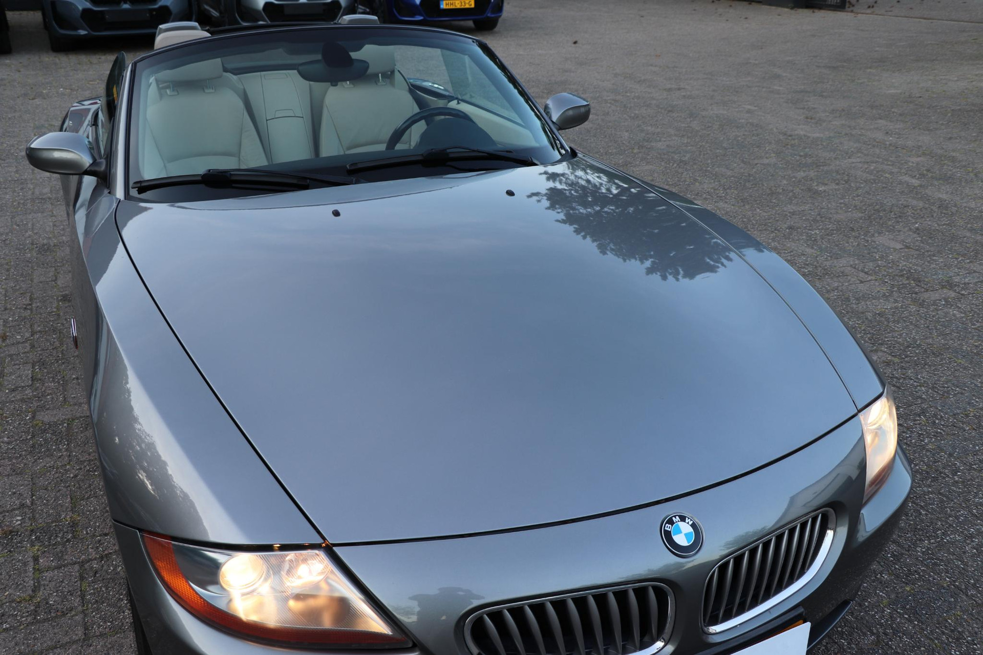 44917948-24.jpg