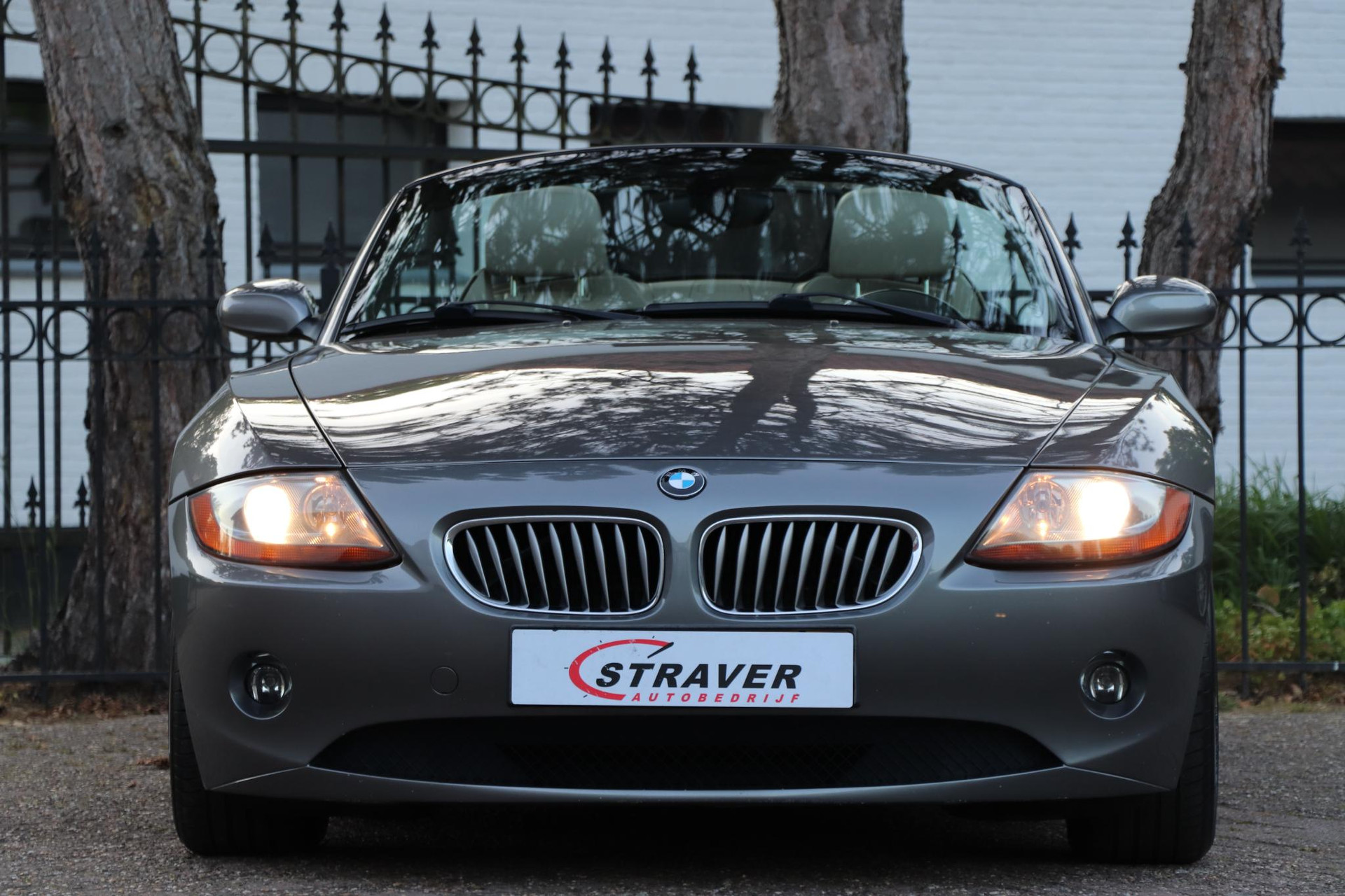 44917948-7.jpg