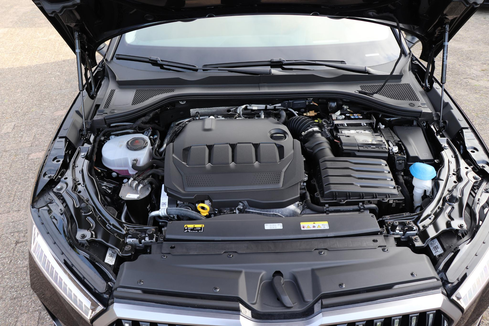 47164245-31.jpg