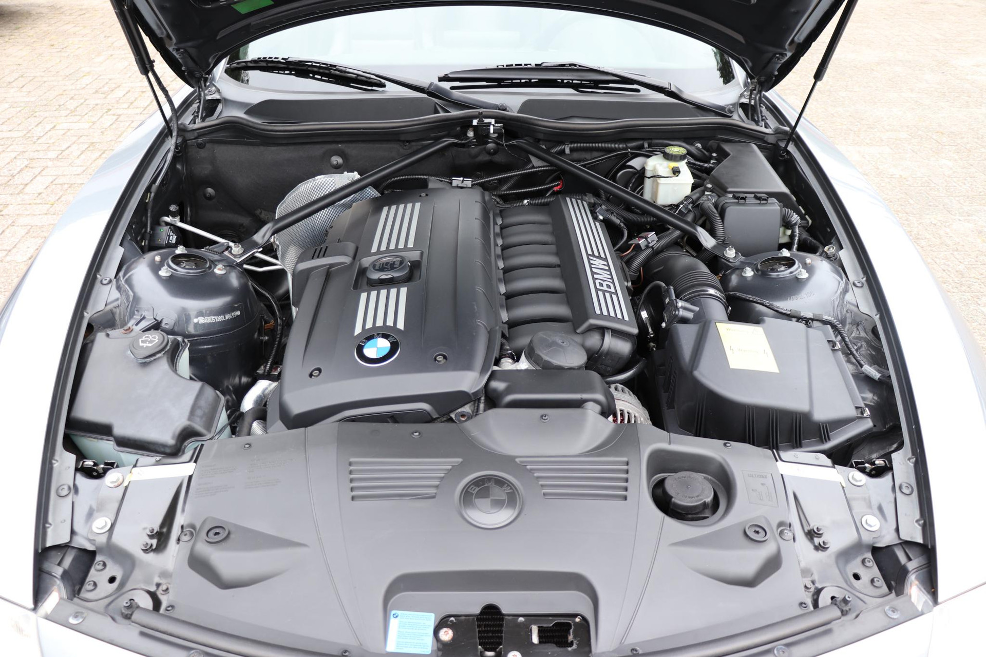 47713528-27.jpg