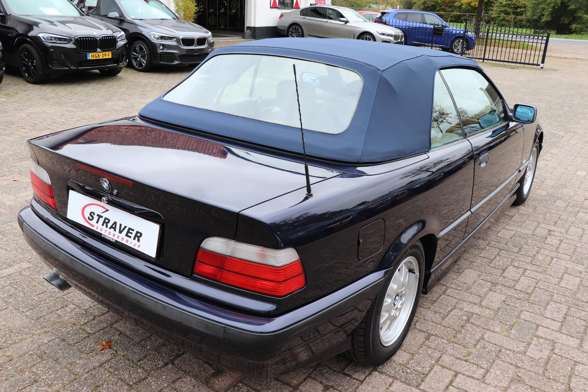 48478687-37.jpg