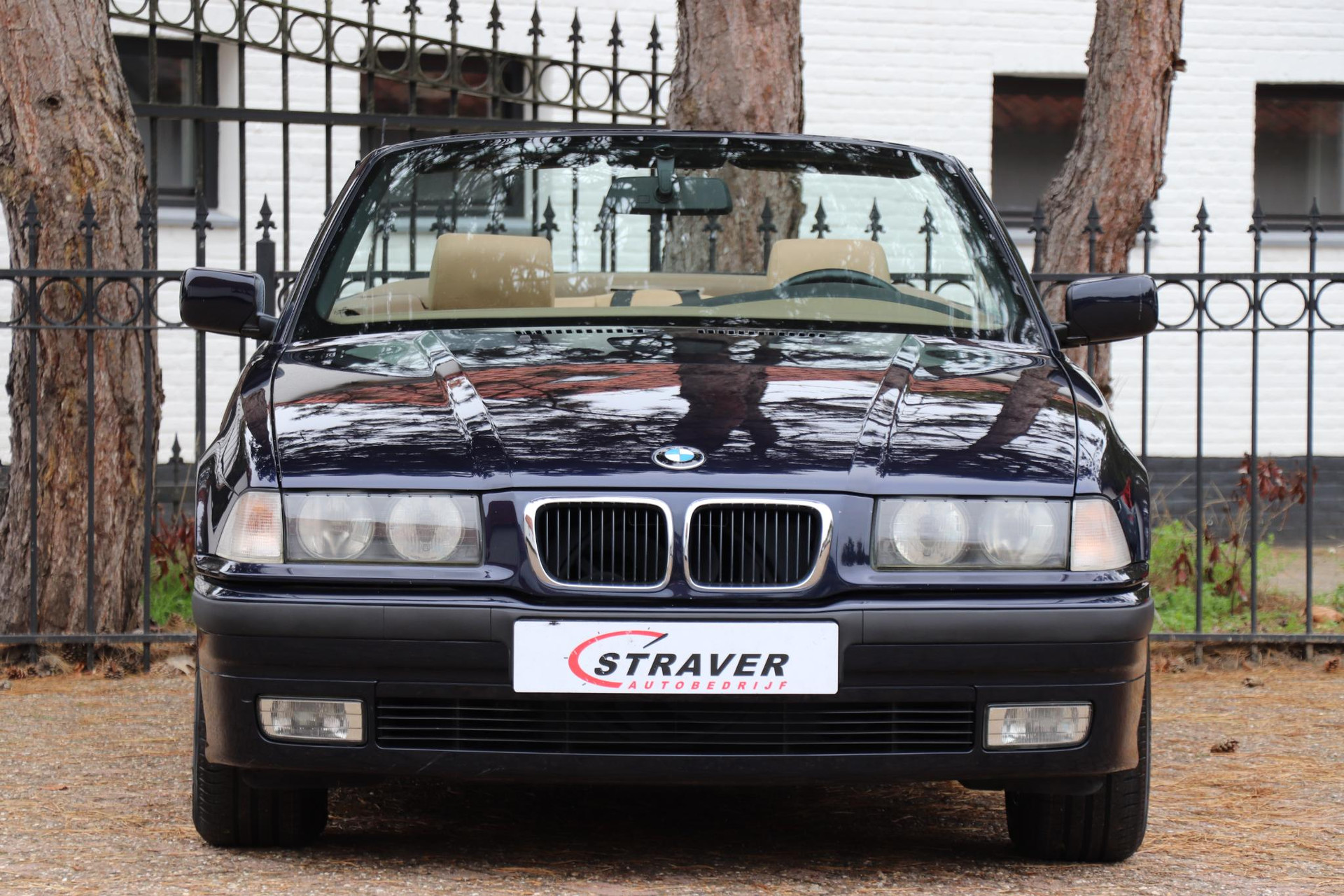 48478687-7.jpg