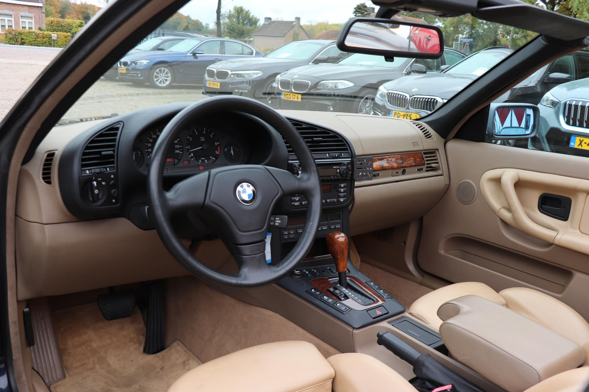 48478687-9.jpg