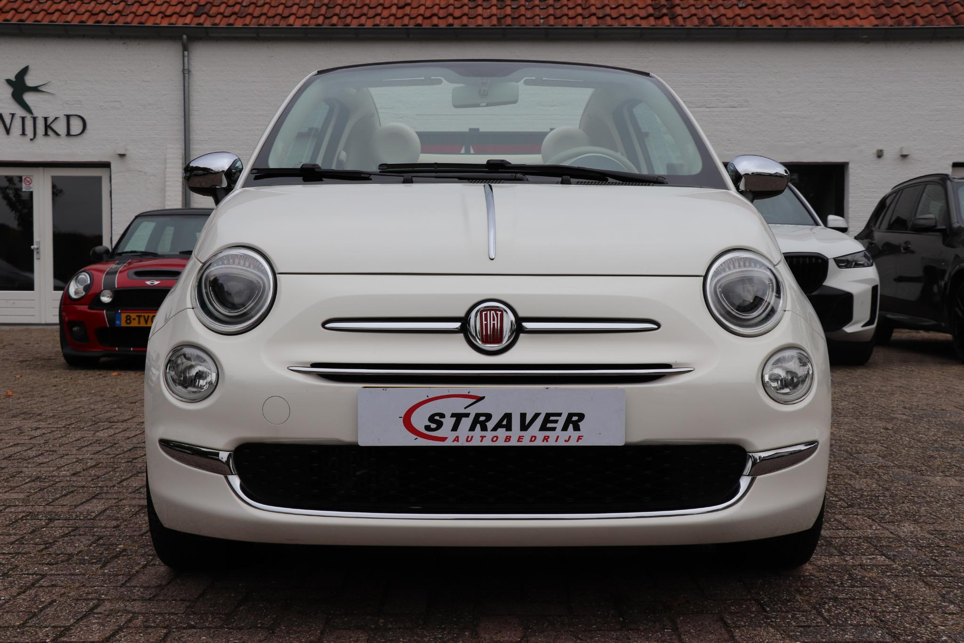 48491392-23.jpg