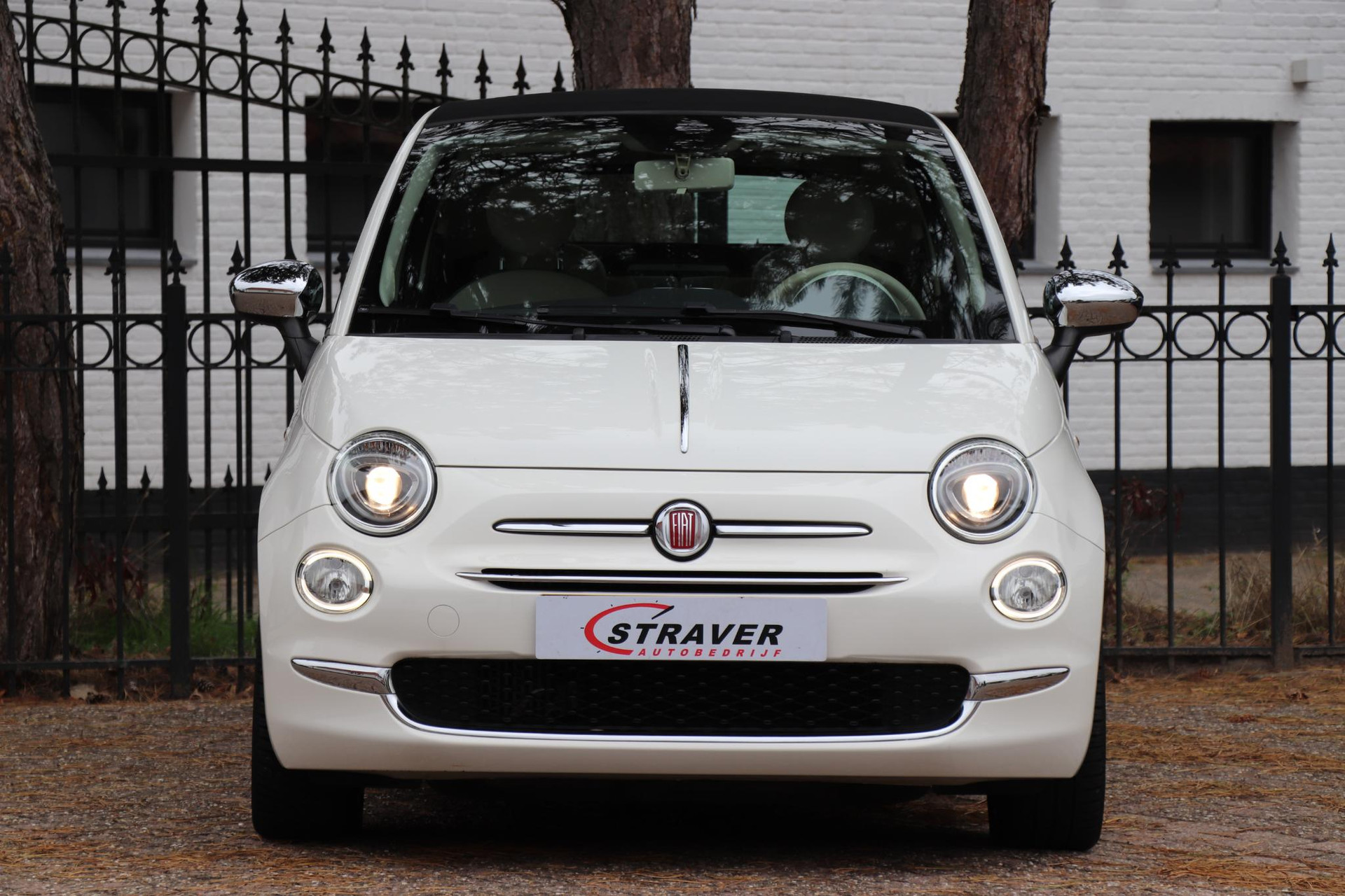 48491392-7.jpg